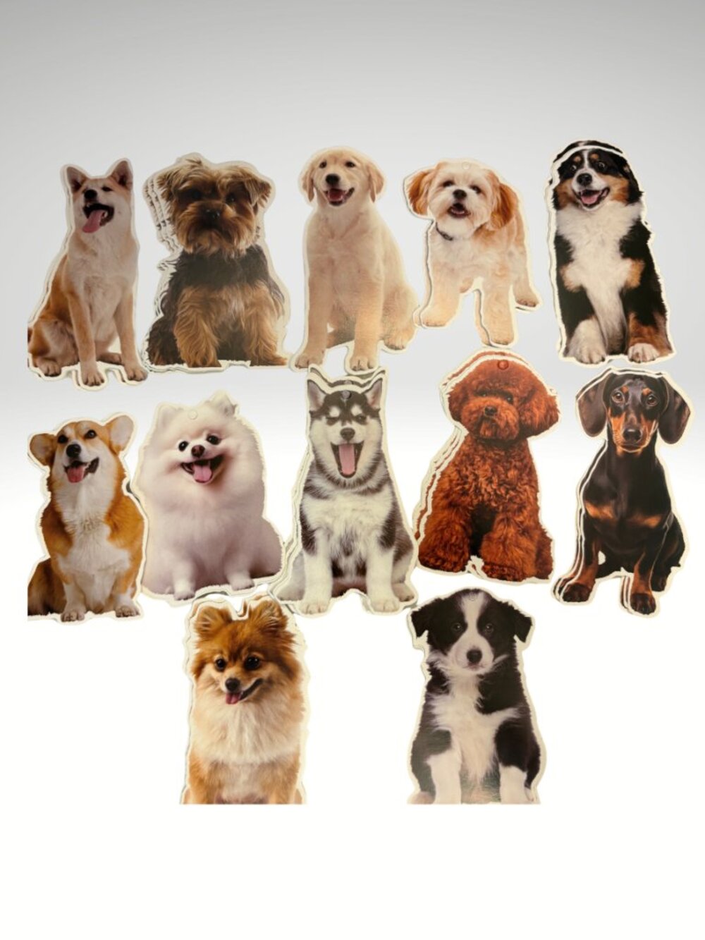 Dog Breed Cutout Decorations Husky Corgi Poodle Yorkie 48 PCS (SKU:120MI)